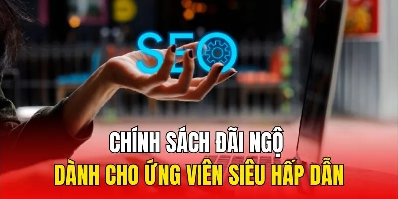 Chính sách đãi ngộ dành cho ứng viên siêu hấp dẫn