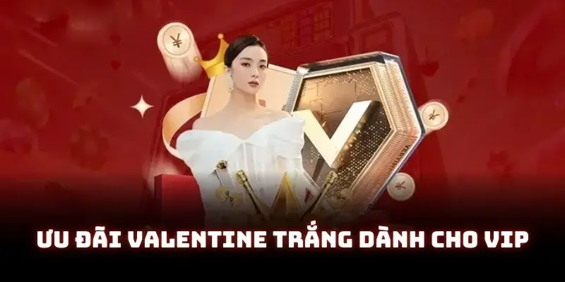 Ưu đãi thành viên VIP khẳng định sự đẳng cấp của đơn vị